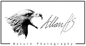 AllanHS-images